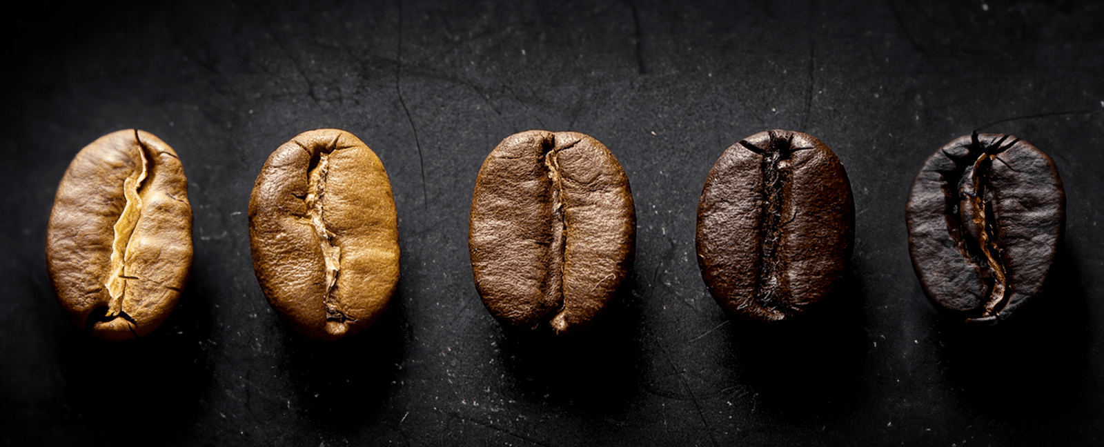 Vijf GerritsKoffie-bonen op een rij op een zwarte achtergrond, variërend van licht gebrand tot donker gebrand, die het brandproces en de intensiteit van de koffie tonen.